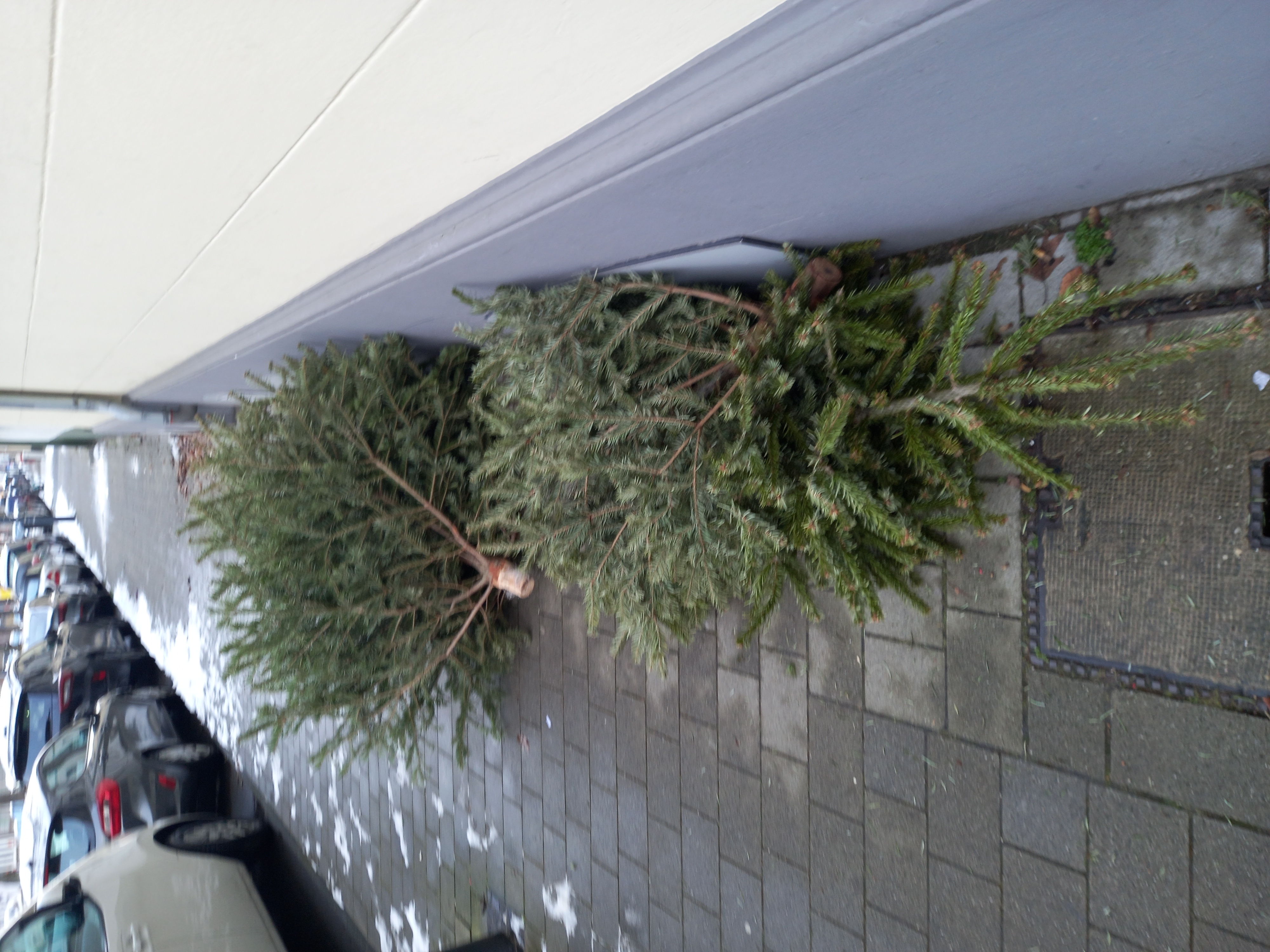 Open311 file from 2026-01-08 13:10:33