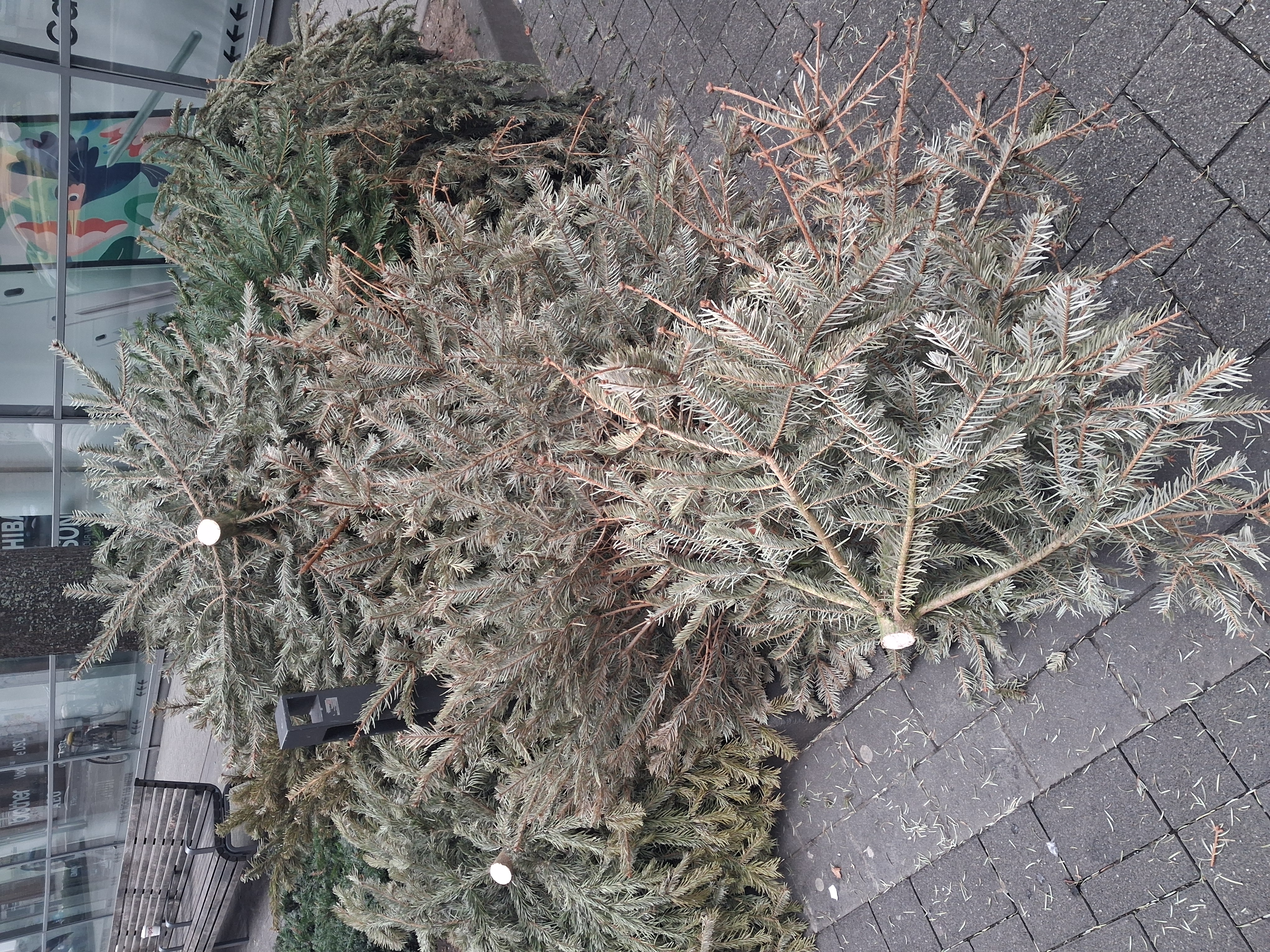 Open311 file from 2026-01-26 11:59:14