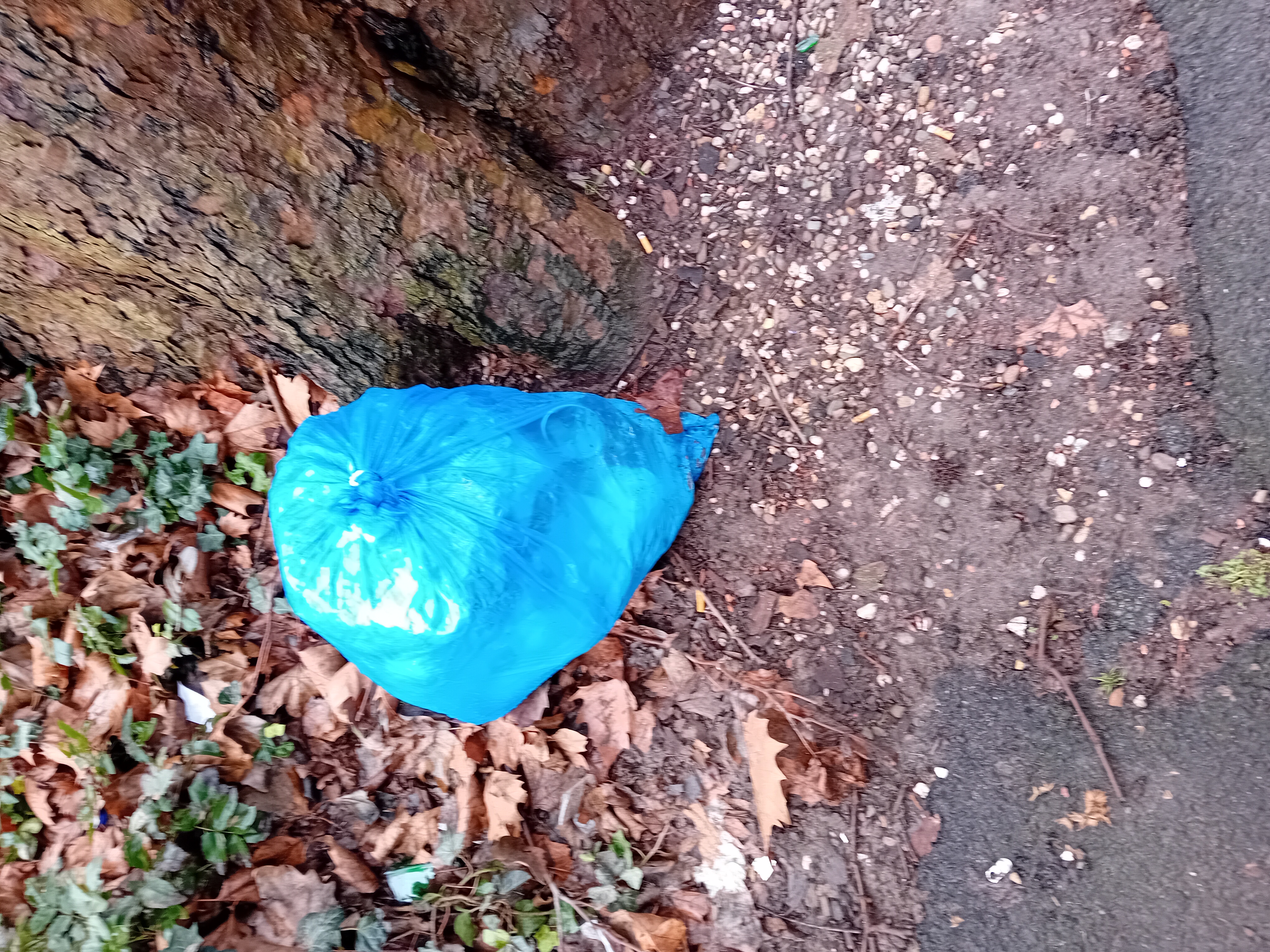 Open311 file from 2026-02-19 14:59:17