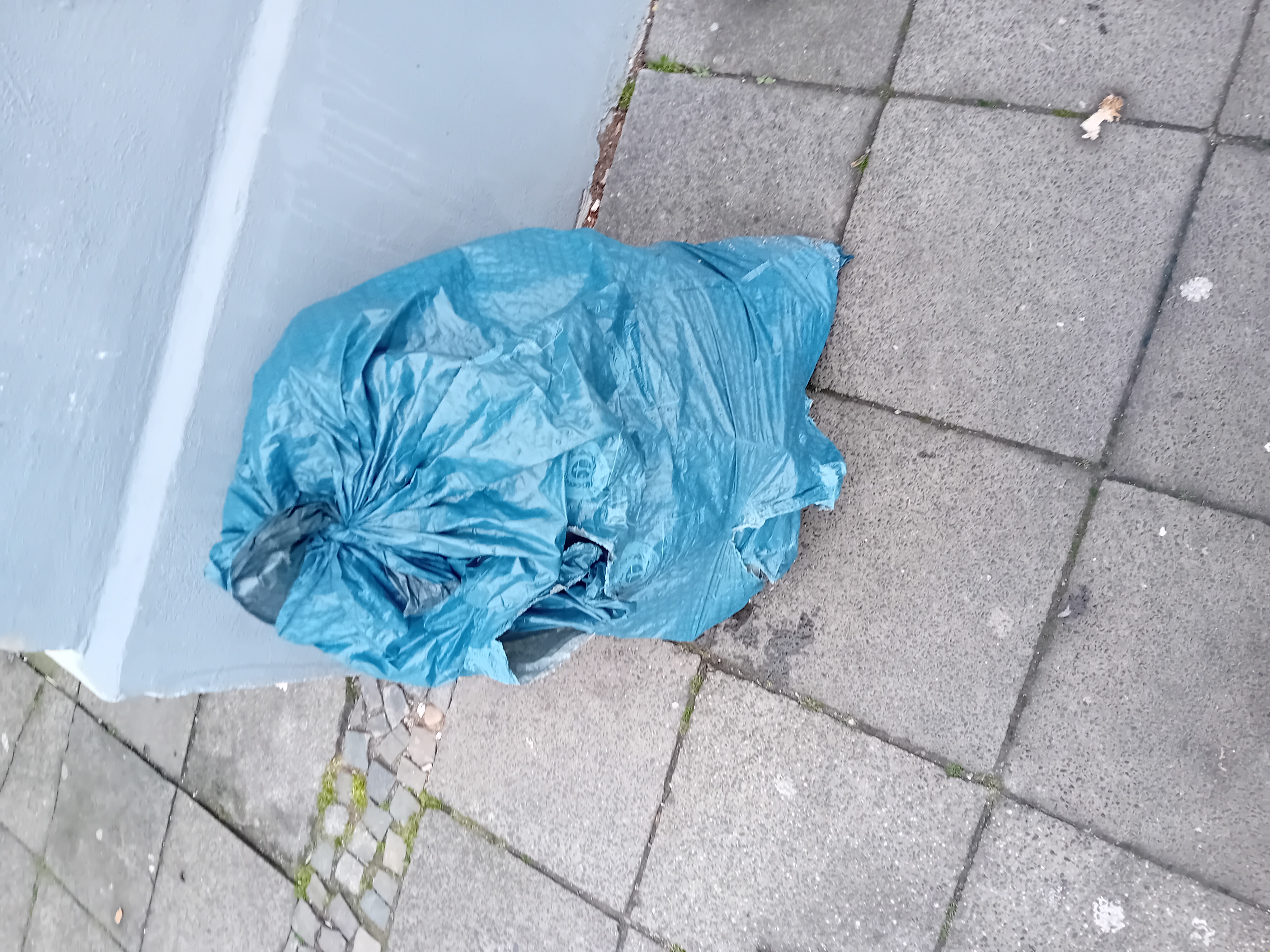 Open311 file from 2026-02-23 08:33:47