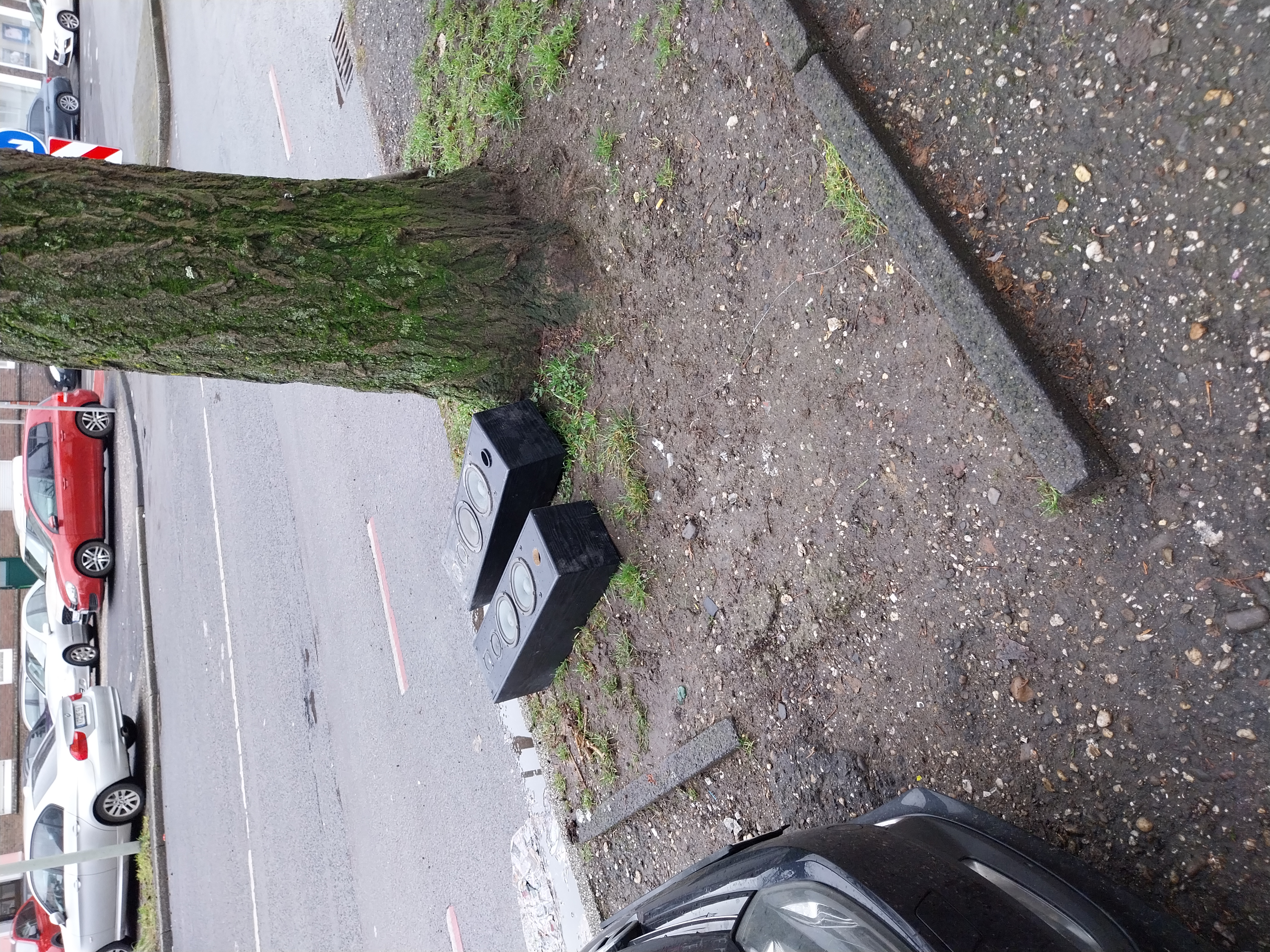 Open311 file from 2026-02-11 13:13:56