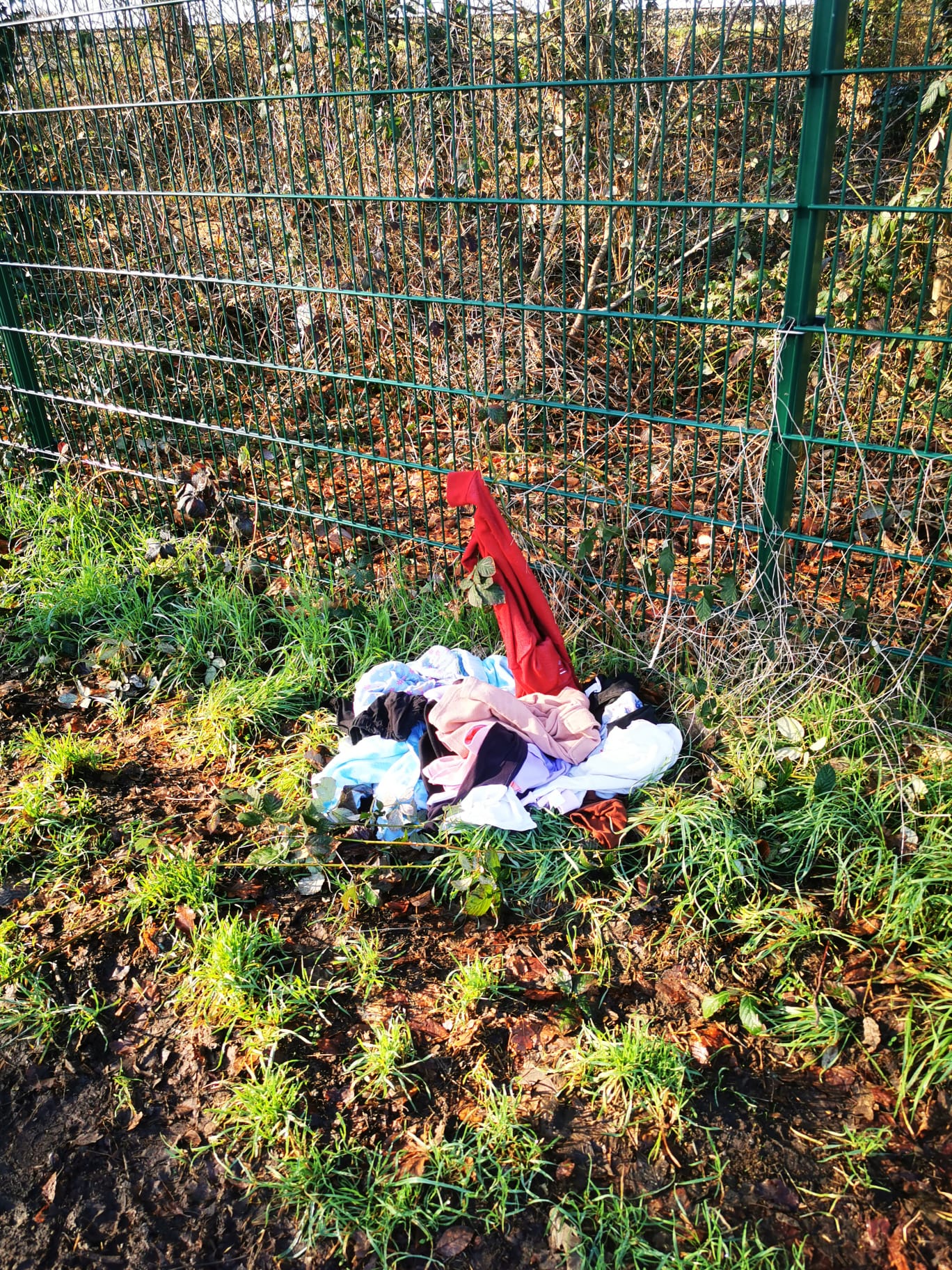 Open311 file from 2026-02-25 10:36:00