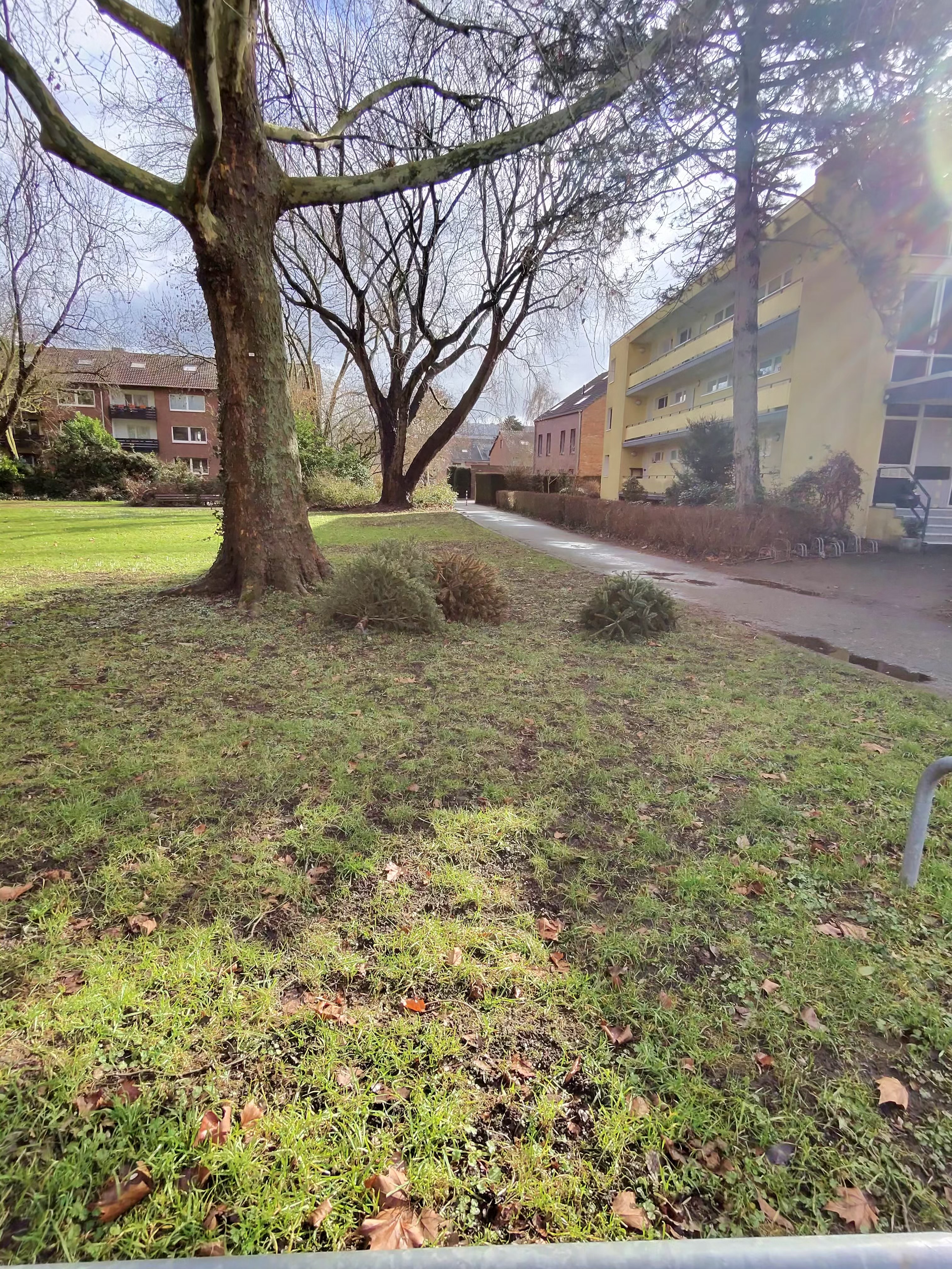 Open311 file from 2026-02-17 20:17:35