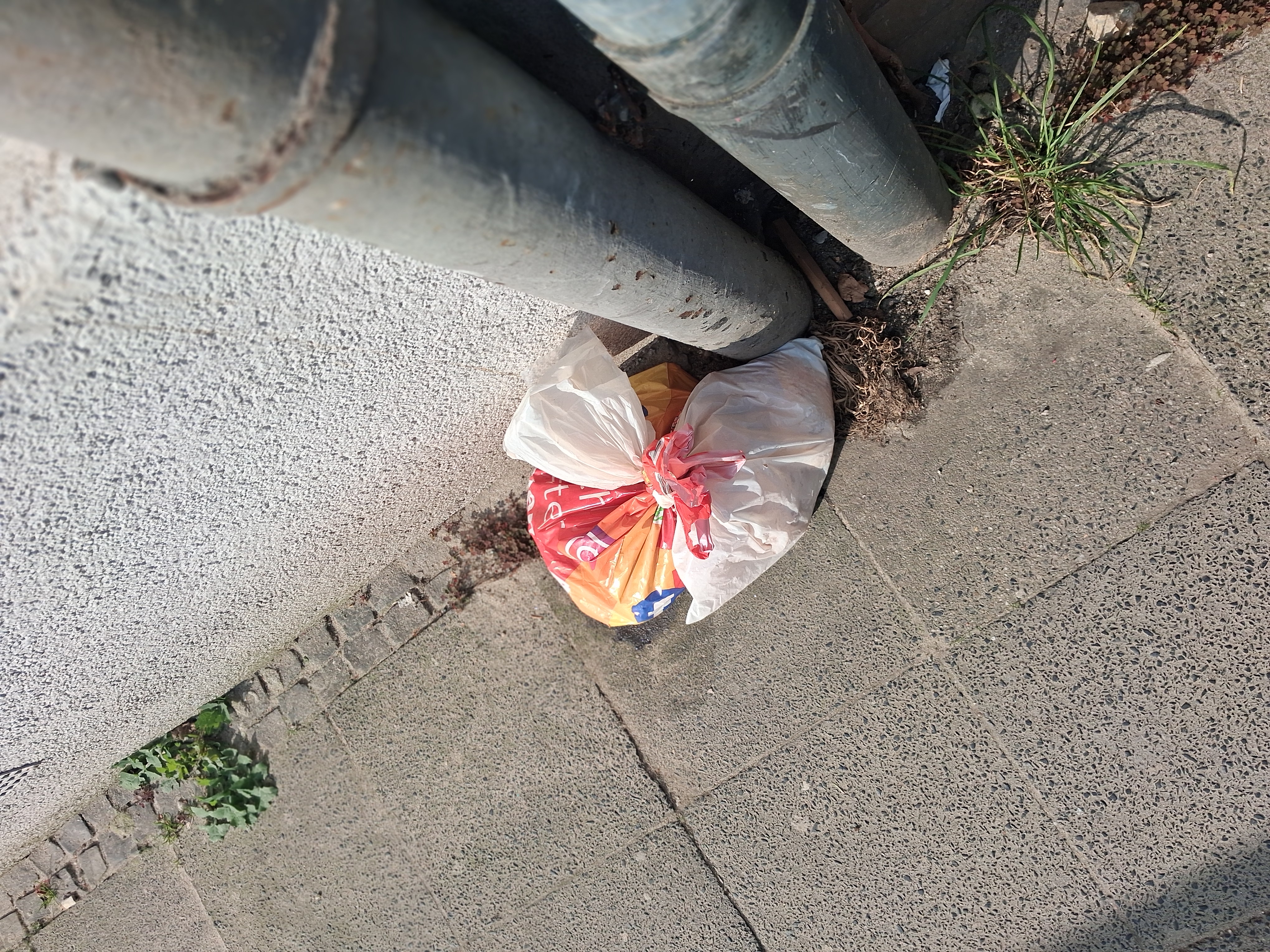 Open311 file from 2026-03-20 09:53:48