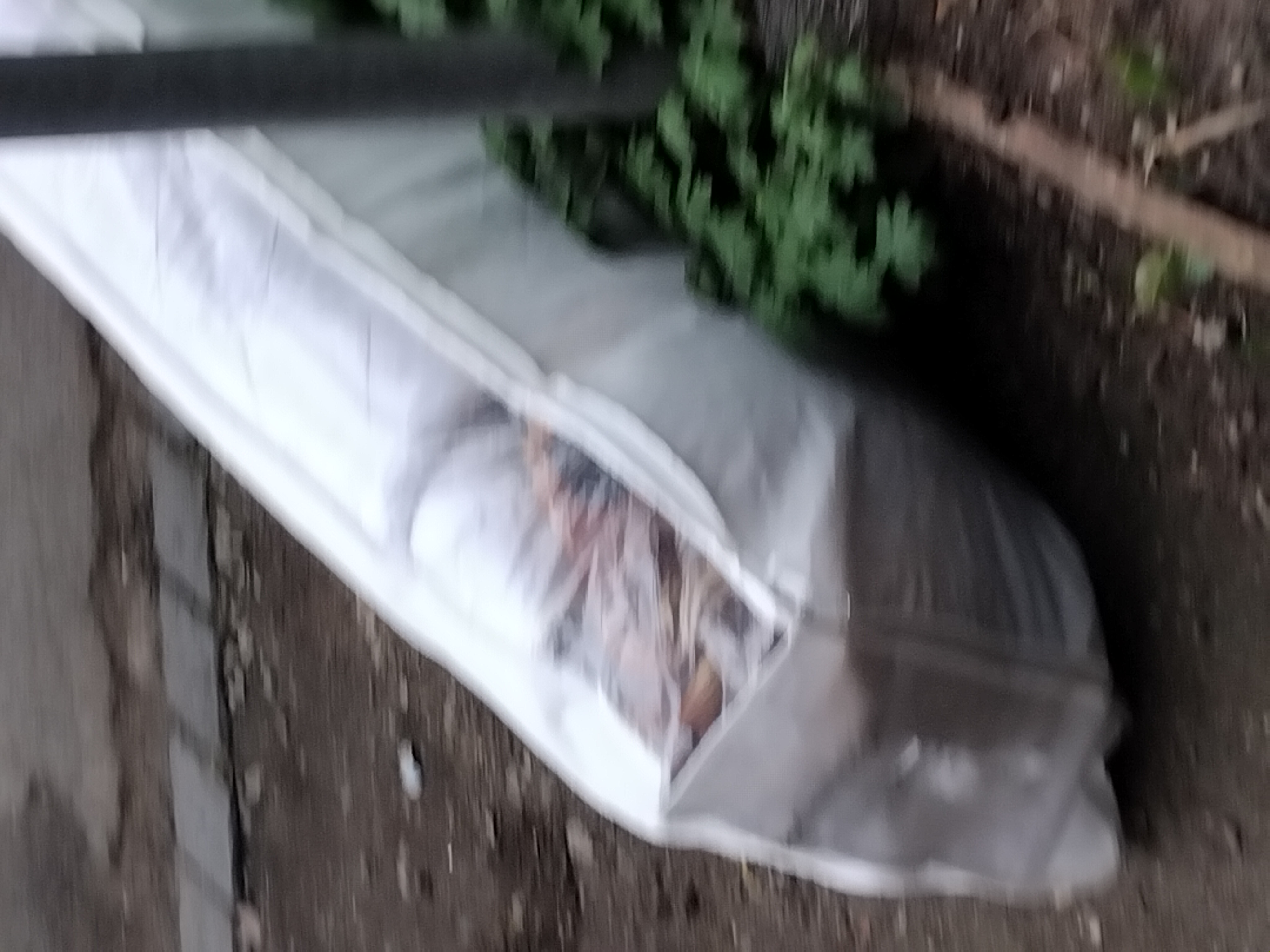 Open311 file from 2026-04-02 10:18:04