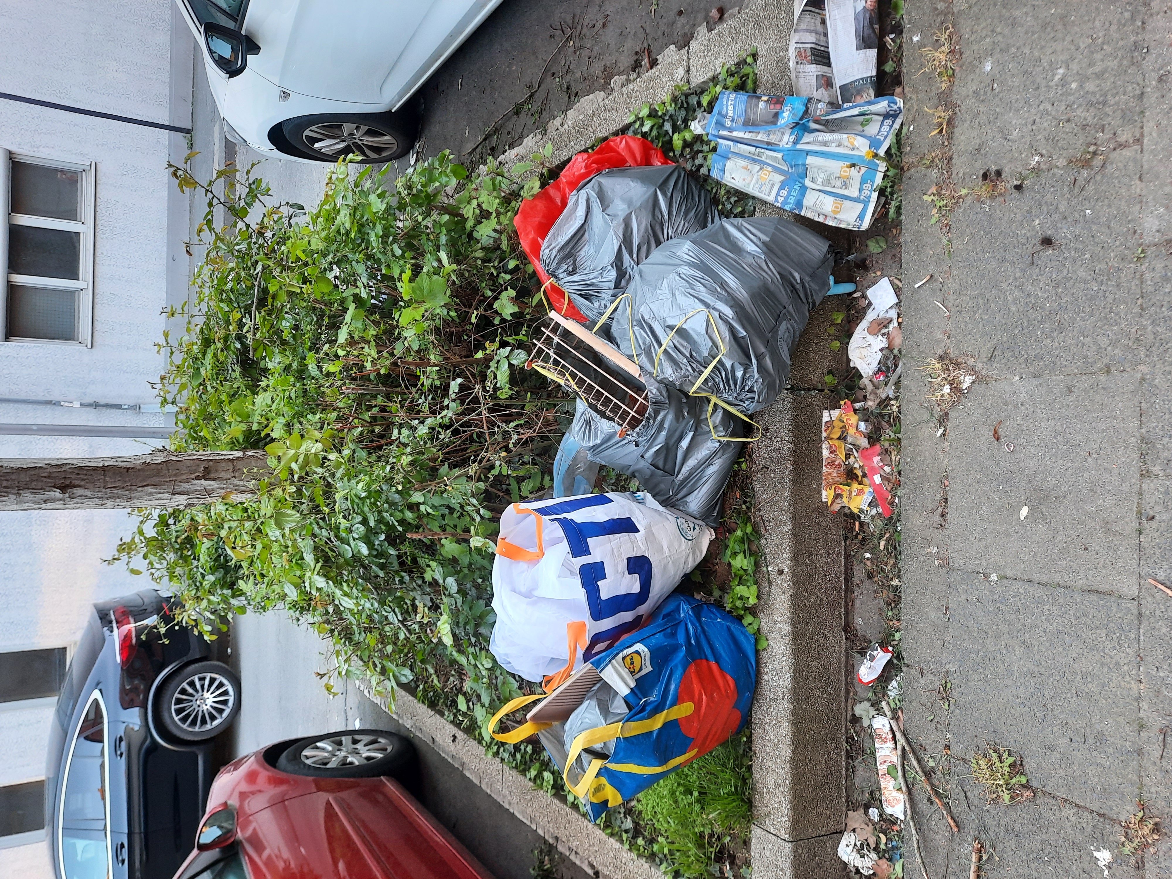 Erneute Müllansammlung vor Hausnr. 15 im Rosenbusch 