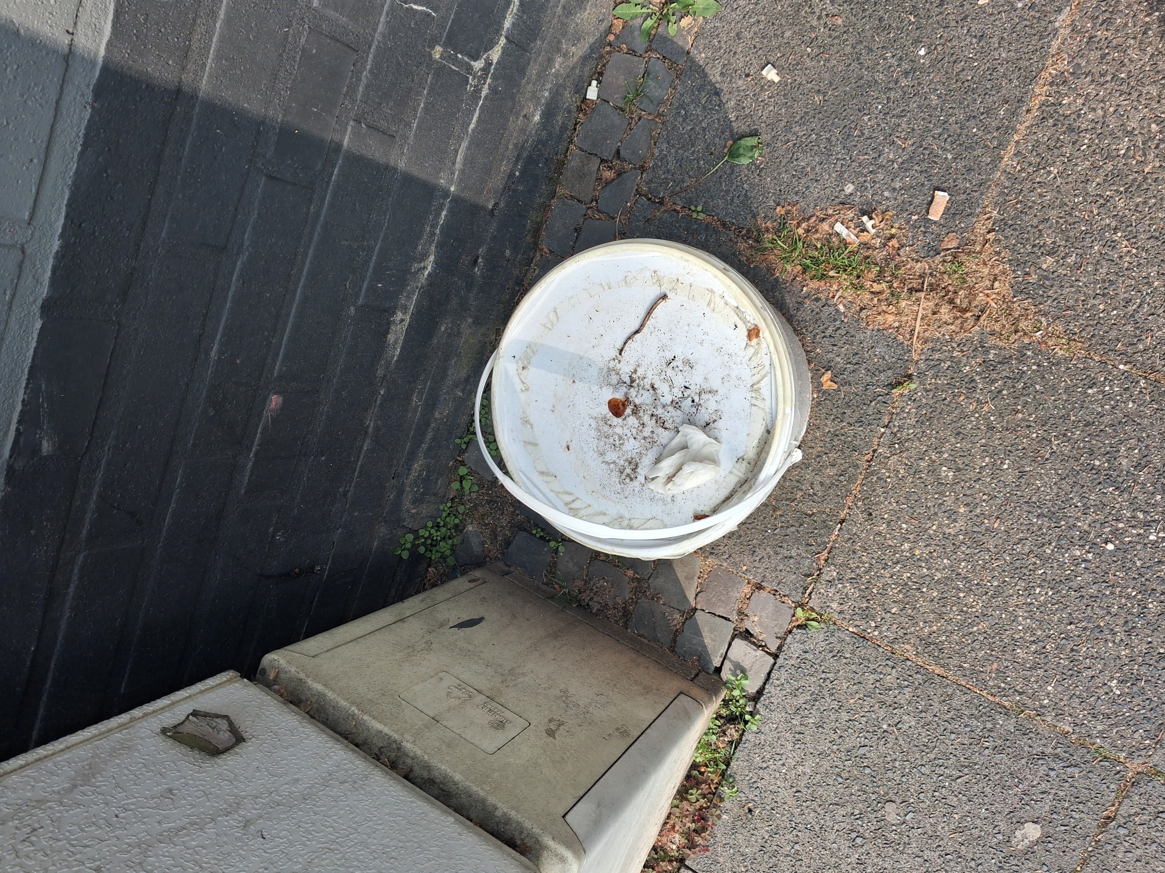 Open311 file from 2026-04-21 10:19:23