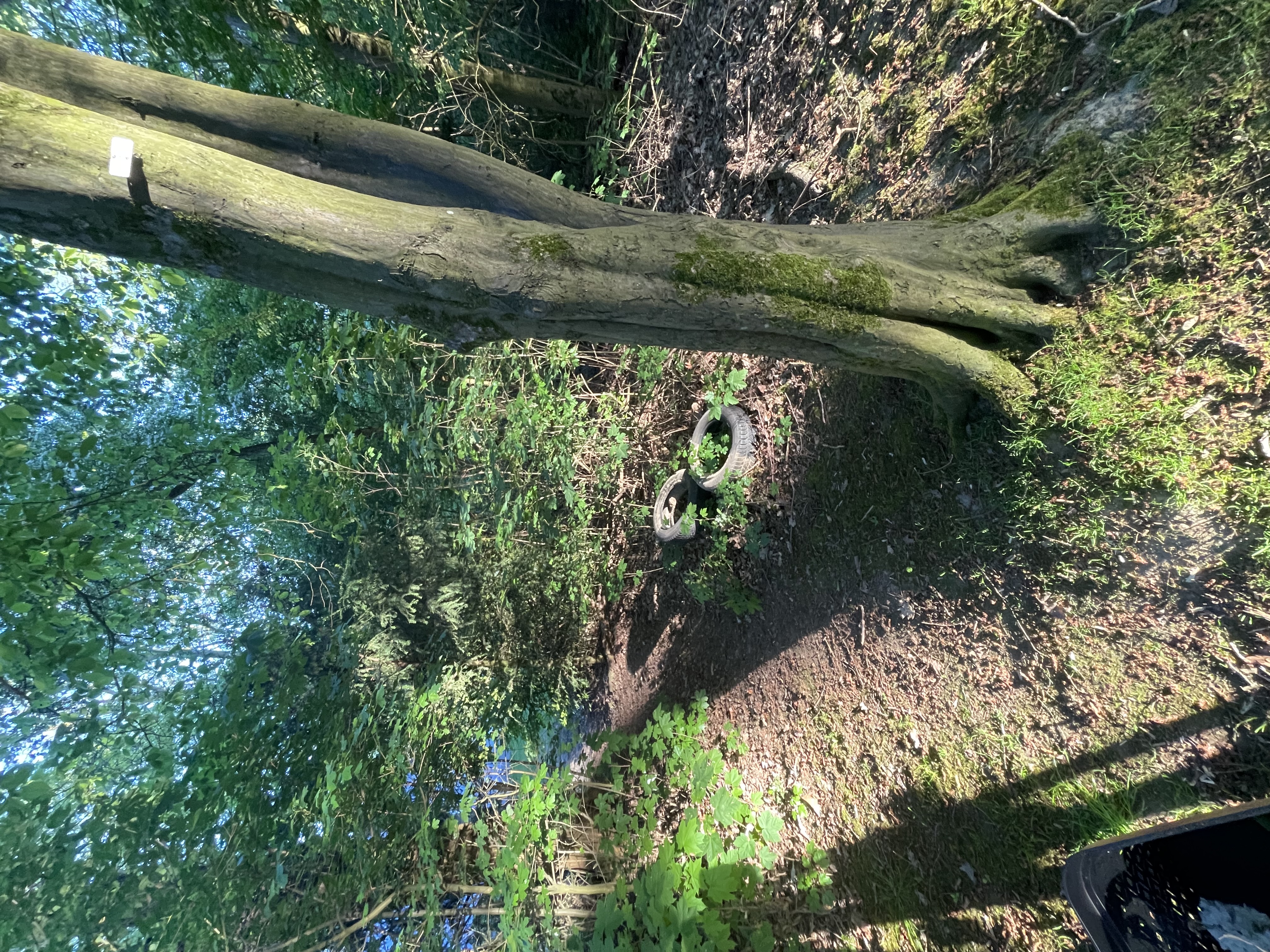 Open311 file from 2026-04-26 20:43:34