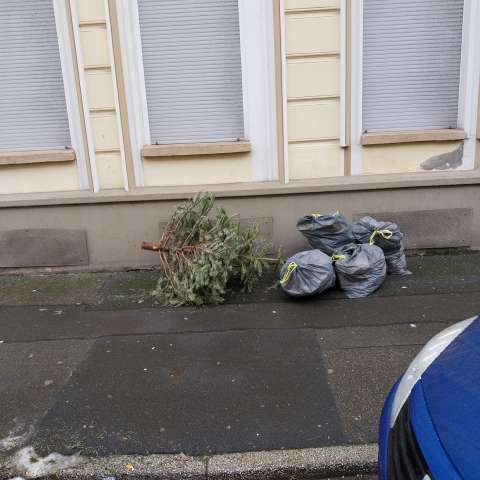 Open311 file from 2026-01-12 12:35:09