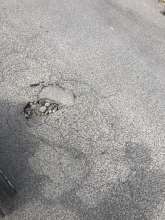 Open311 file from 2022-06-26 12:10:21