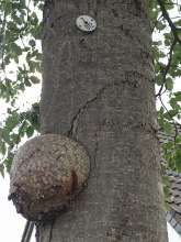 Open311 file from 2022-06-28 12:15:54