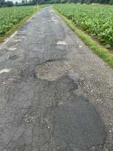 Open311 file from 2022-06-24 06:51:44