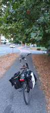 Open311 file from 2022-09-01 09:18:21