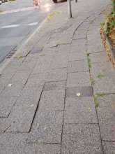 Open311 file from 2022-09-01 09:34:03