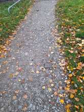 Open311 file from 2022-10-20 10:00:39