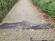 Open311 file from 2022-11-13 13:12:34