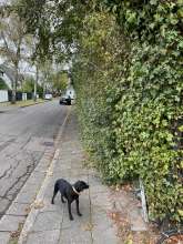 Open311 file from 2022-11-15 13:05:42