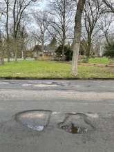 Open311 file from 2023-03-01 06:38:51