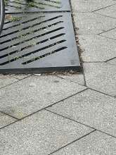 Open311 file from 2023-03-10 12:48:45