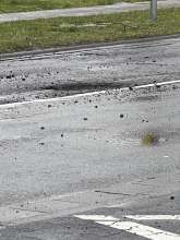 Open311 file from 2023-03-10 16:33:43