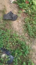 Open311 file from 2025-06-23 08:13:45