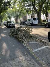 Open311 file from 2025-06-17 17:50:20