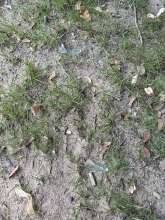 Open311 file from 2025-06-13 17:25:17