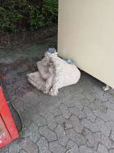 Open311 file from 2025-07-13 07:28:56