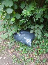 Open311 file from 2025-07-23 16:32:53