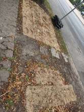 Open311 file from 2025-07-13 18:55:27