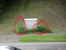 Open311 file from 2025-07-28 16:59:13