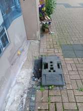 Open311 file from 2025-08-09 09:08:58