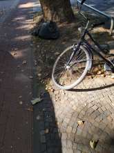Open311 file from 2025-08-19 09:46:27