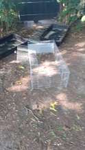 Open311 file from 2025-08-06 10:01:55