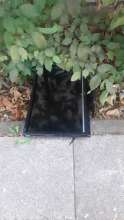 Open311 file from 2025-08-26 07:26:55