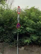 Open311 file from 2025-08-16 10:31:36