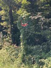 Open311 file from 2025-08-11 14:34:37