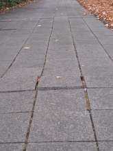 Open311 file from 2025-09-12 16:59:33