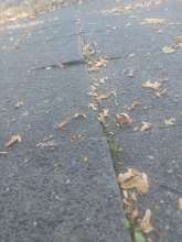 Open311 file from 2025-09-07 17:59:22