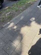 Open311 file from 2025-09-06 13:18:48