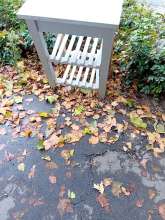 Open311 file from 2025-10-21 13:29:09