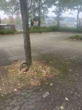 Open311 file from 2025-10-07 08:11:19