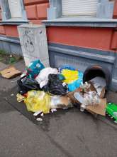 Open311 file from 2025-11-20 14:07:43