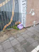 Open311 file from 2025-11-24 12:52:44