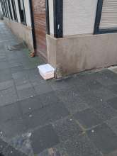 Open311 file from 2025-11-25 08:39:40