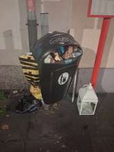 Open311 file from 2025-11-19 07:20:05