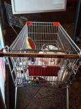 Open311 file from 2025-12-05 17:58:03