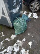 Open311 file from 2026-01-08 13:07:13