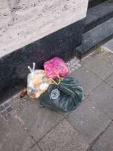 Open311 file from 2026-01-21 08:43:39