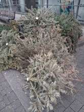 Open311 file from 2026-01-26 11:59:14